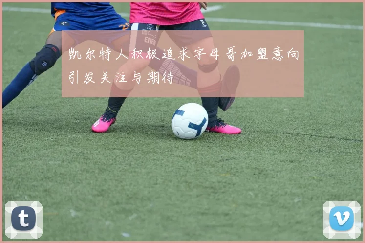 凯尔特人积极追求字母哥加盟意向引发关注与期待
